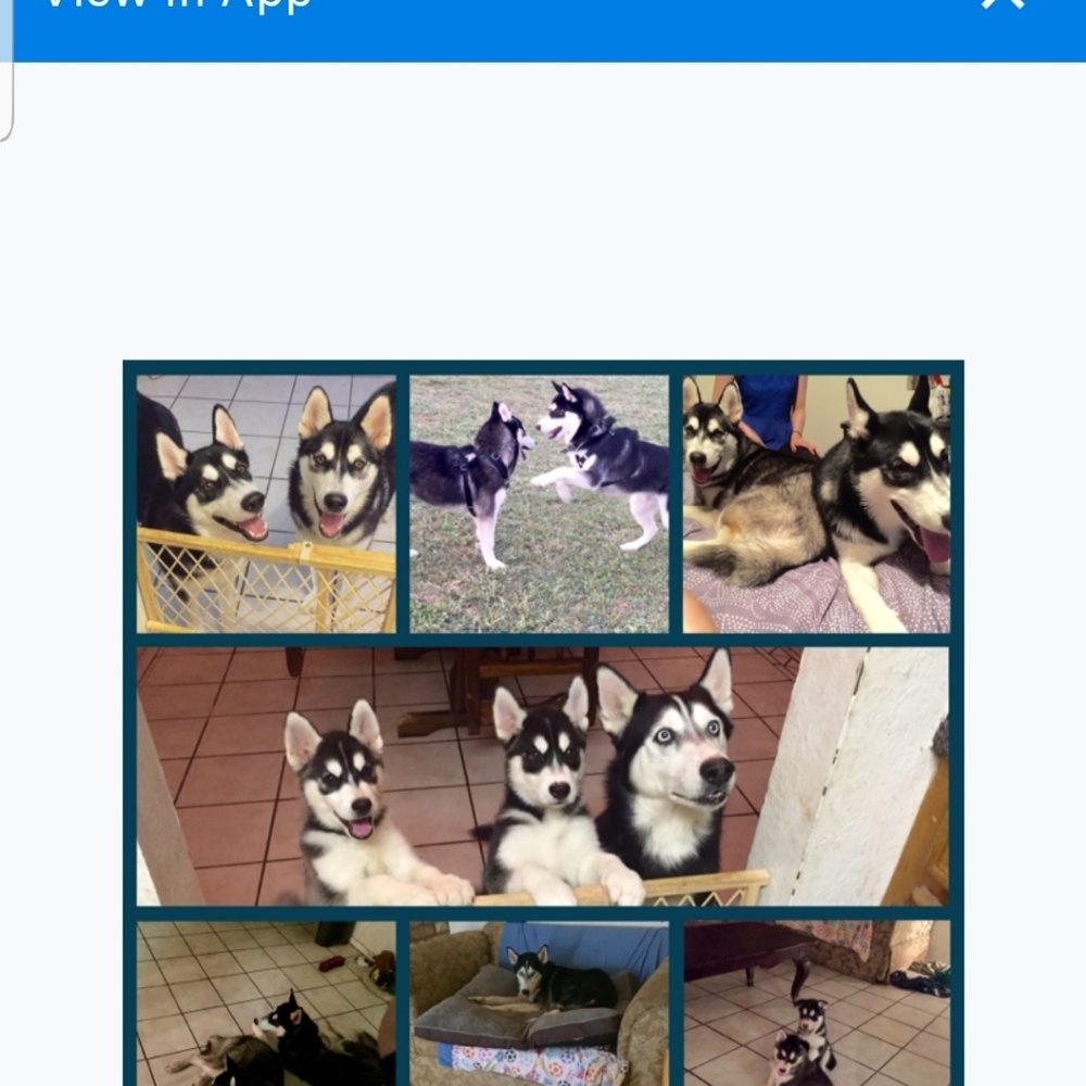 Meet your Posher, Marissa